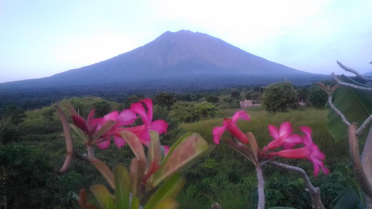 Khrisna Sunrise Homestay Tulamben Bagian luar foto