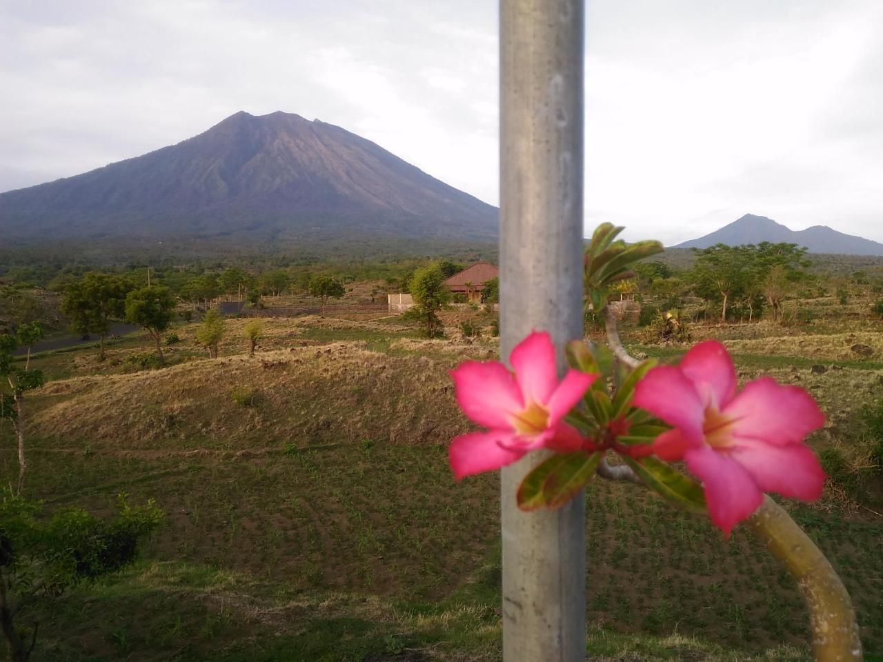 Khrisna Sunrise Homestay Tulamben Bagian luar foto